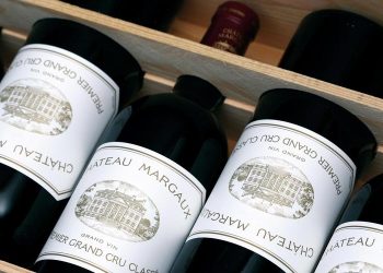 The Poetry of Wine: Exploring the World’s Renowned Wine Regions
