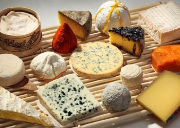 The Music of Cheese: Tasting Traditional European Cheese