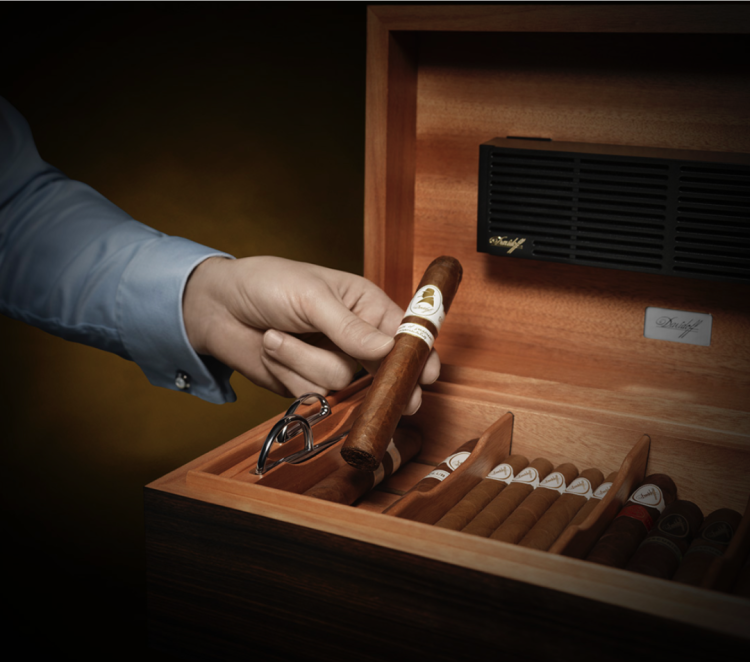 The Art of Cigars: The Perfect Journey from Fields to Cigar Bars