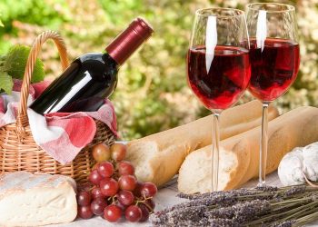 The Art of Food Pairing: How to Choose the Perfect Match of Food and Wine