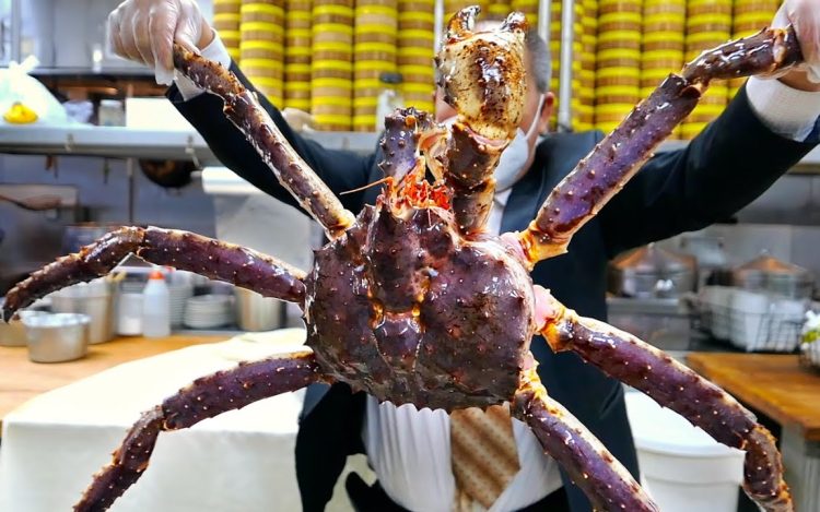 The Fresh Taste Journey of Seafood: Searching for the freshest seafood