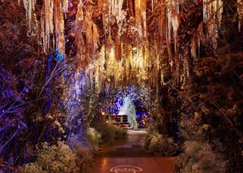 Sketch Opens Hotly Anticipated Christmas Exhibition