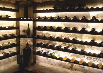 The Allure of Rare Wines: How to Build a Collection of Exceptional Bottles