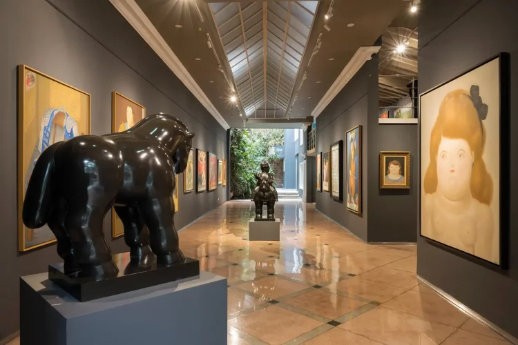 How Can Collectibles Enhance the Design of Elite Homes?