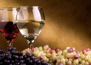 Fine Dining Wine Services: How to Find the Perfect Wine Pairing for Your Meal
