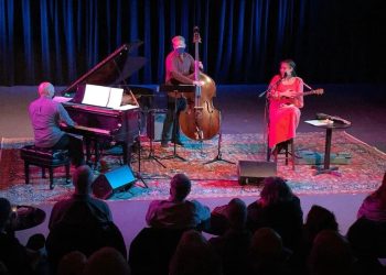 Why High-End Concerts and Private Performances Have Become the Top Choice for Elite Individuals
