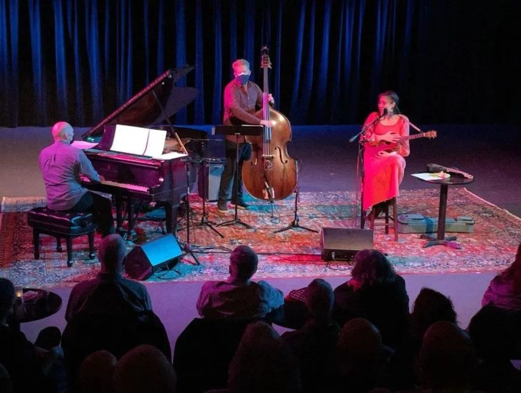 Why High-End Concerts and Private Performances Have Become the Top Choice for Elite Individuals