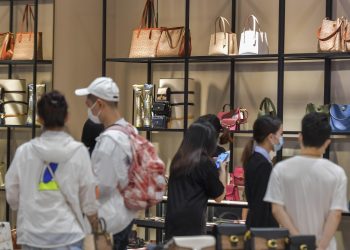 Maintenance and Care of High-End Collectibles: How to Ensure Their Lasting Value and Perfect Condition
