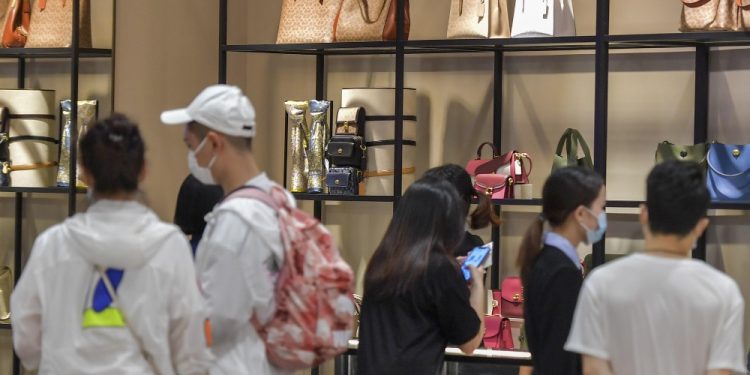 Maintenance and Care of High-End Collectibles: How to Ensure Their Lasting Value and Perfect Condition